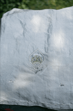 Load image into Gallery viewer, Silver Grey Embroidered Tissue Saree