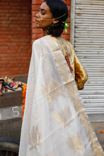 Load image into Gallery viewer, Padmini Cotton Silk Chanderi Saree