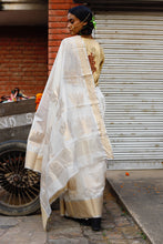 Load image into Gallery viewer, Padmini Cotton Silk Chanderi Saree