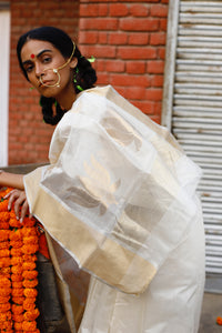 Padmini Cotton Silk Chanderi Saree