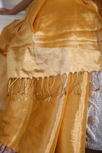 Kanaka Tissue Chanderi Saree